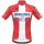 Fahrradbekleidung Radsport 2020 DECEUNINCK QUICK-STEP Danish Champion Trikot Kurzarm Outlet