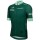 Bekleidung Herren Tour de France 2024 Fan Line Grun trikot