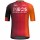 Bekleidung Herren Gobik Ineos Grenadiers 2025 Odyssey trikot