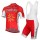 2017 Cofidis Fahrradbekleidung Satz Radtrikot Kurzarm+Kurz Trägerhose 254BGXN
